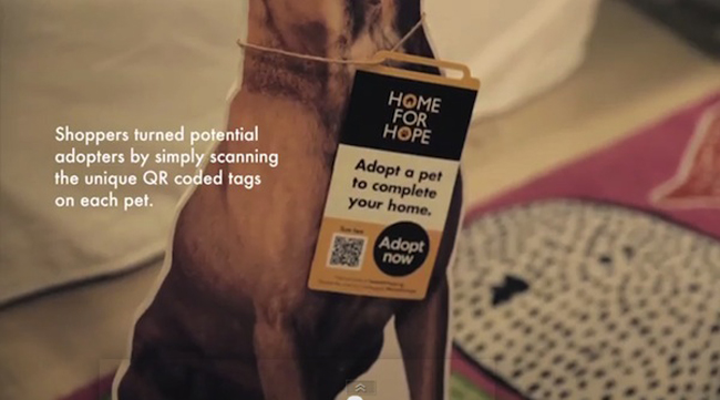 宜家IKEA，将家具展示与收养宣传相结合，帮助流浪动物找到新家