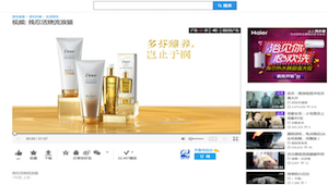 L2：《中国2015个人护理、美妆营销报告》——本土品牌优势明显