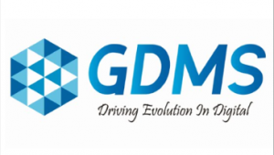 胖鲸智库携手GDMS全球数字营销峰会，八折福利，报名倒计时中