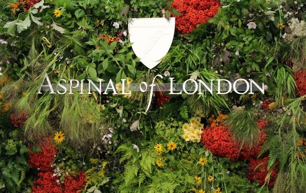 aspinal-of-london-ss16-collection-1024x645-1024x645
