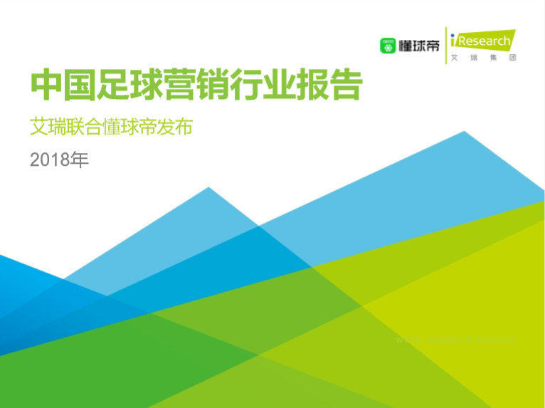 2018年中国足球营销行业报告