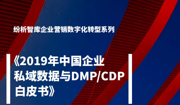 纷析智库：2019年中国企业私域数据与DMP、CDP白皮书