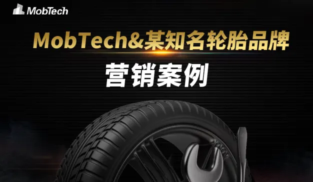 某国际知名品牌轮胎品牌营销方案