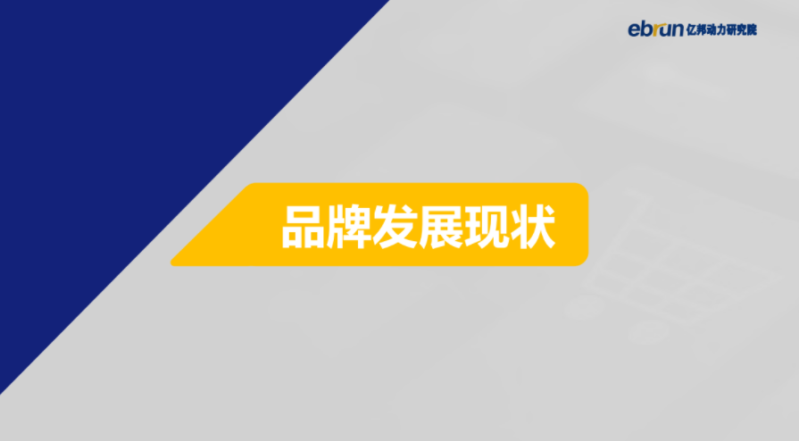 亿邦动力研究院：2021中国新消费品牌发展洞察报告（附下载）