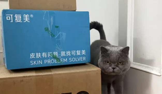 收包裹的日子，尊贵的88VIP和PLUS会员兴奋了吗？｜2024双11