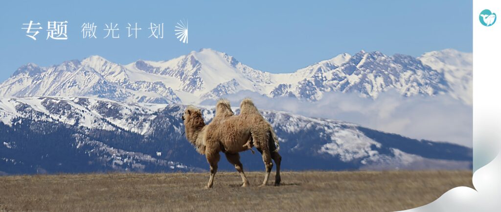 从大都会到牧场，这群人说商业是最大的慈善｜对话丰草牧场