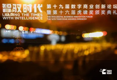 向价值回归——2025年虎啸盛典圆满落幕